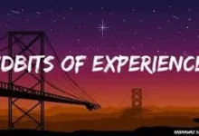 Tidbits of Experience